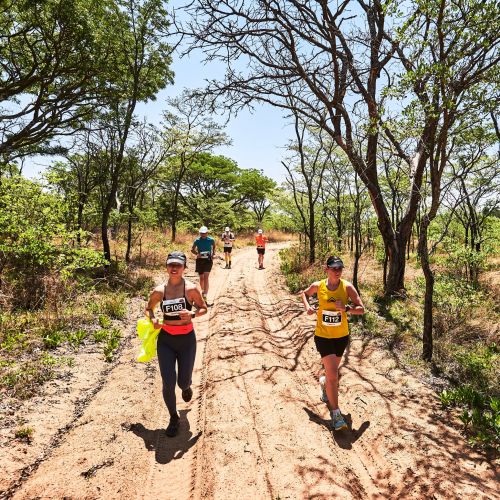 THE BIG FIVE MARATHON | 42K,21K 2023